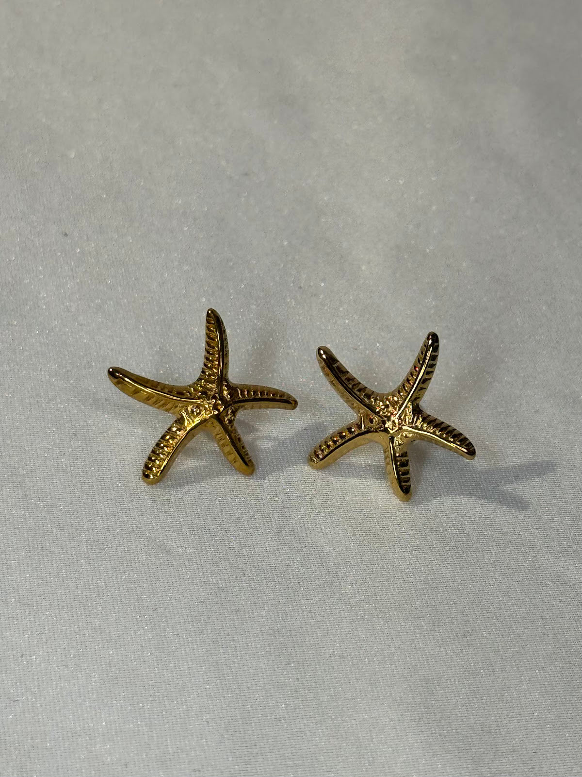 Estrella de mar