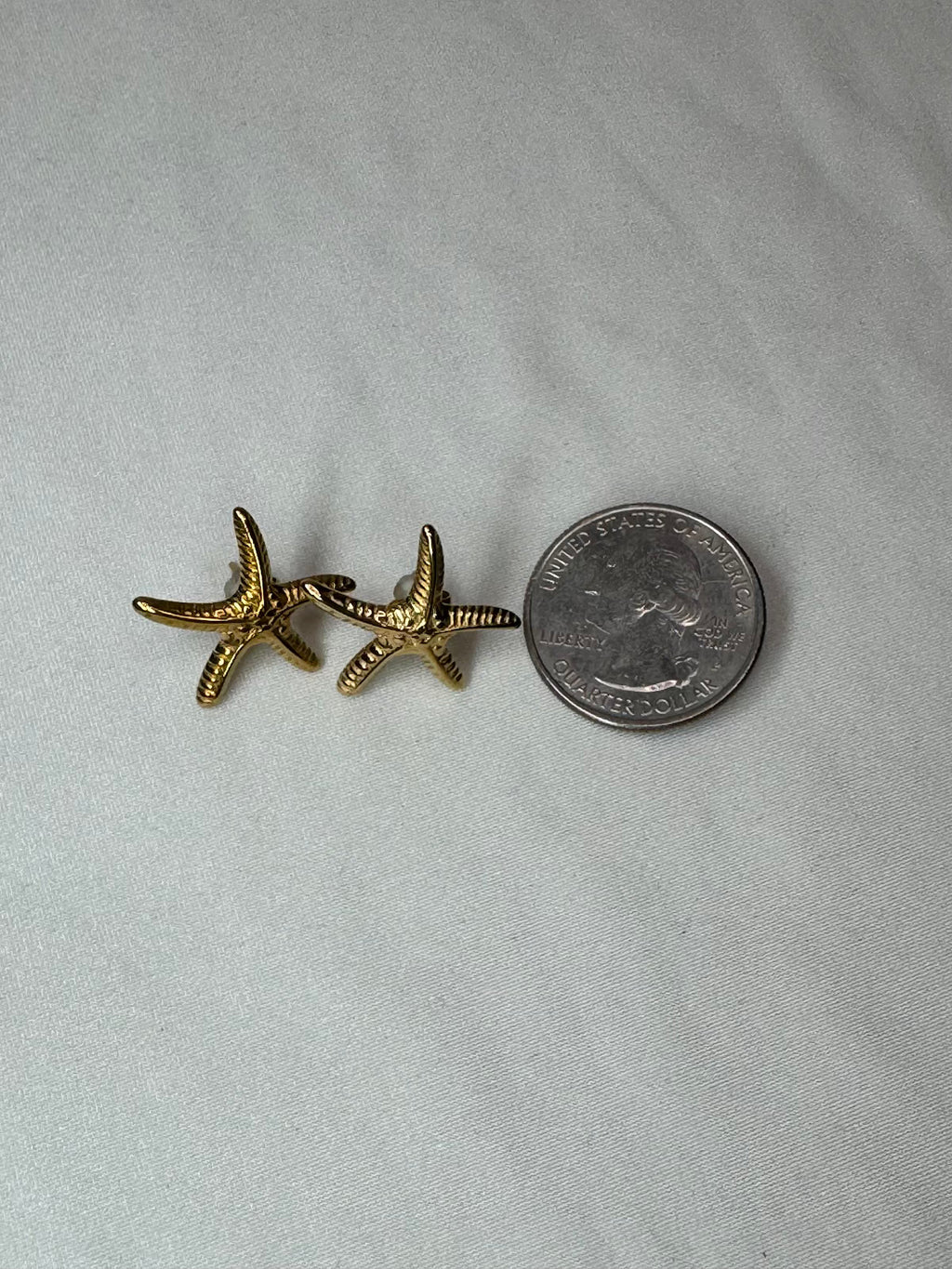 Estrella de mar